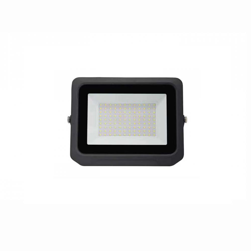 Прожектор LED FL-100-6500К